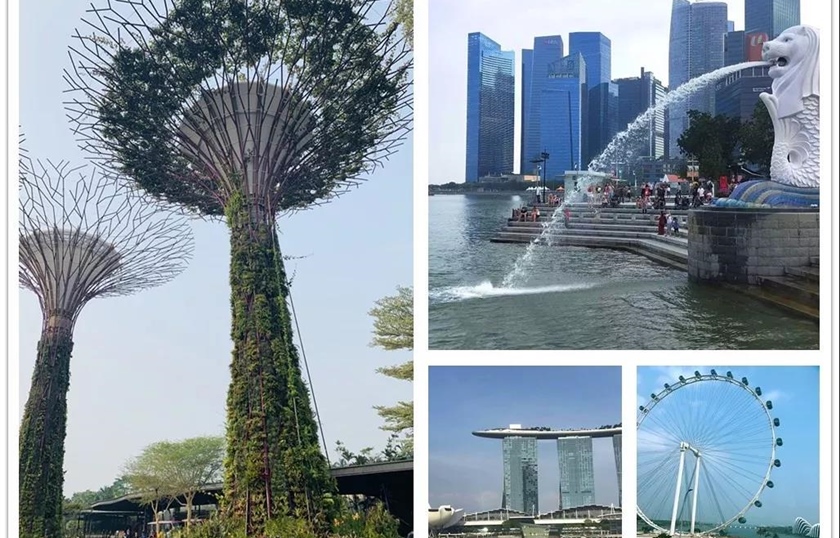 2019年浩田集团-亚洲花园城市新加坡1